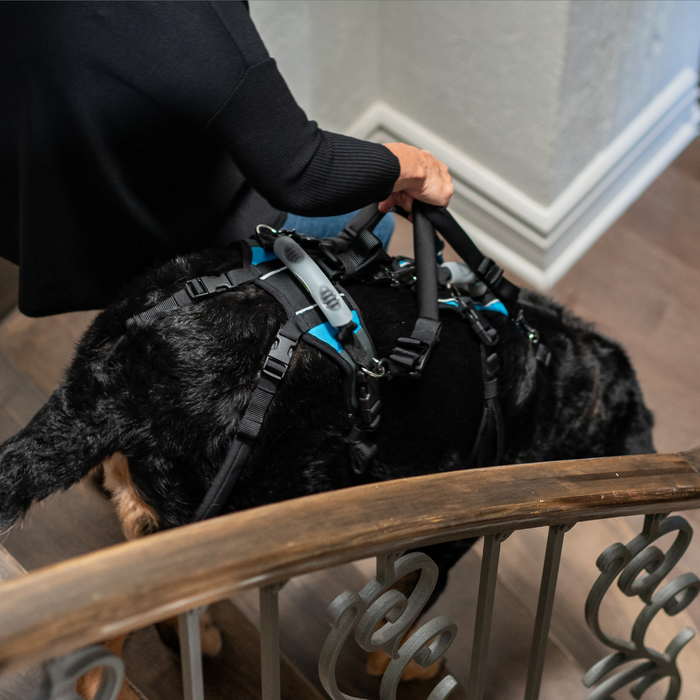 HEU - Walking Loop Handles