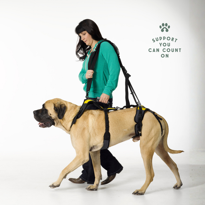 HEU - Walking Leash/Shoulder Strap