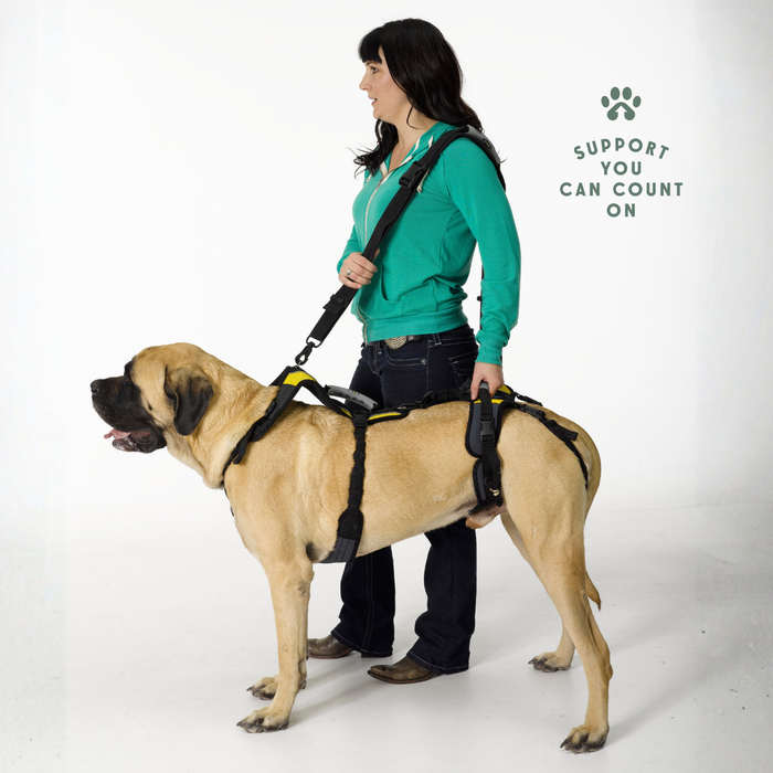 HEU - Walking Leash/Shoulder Strap