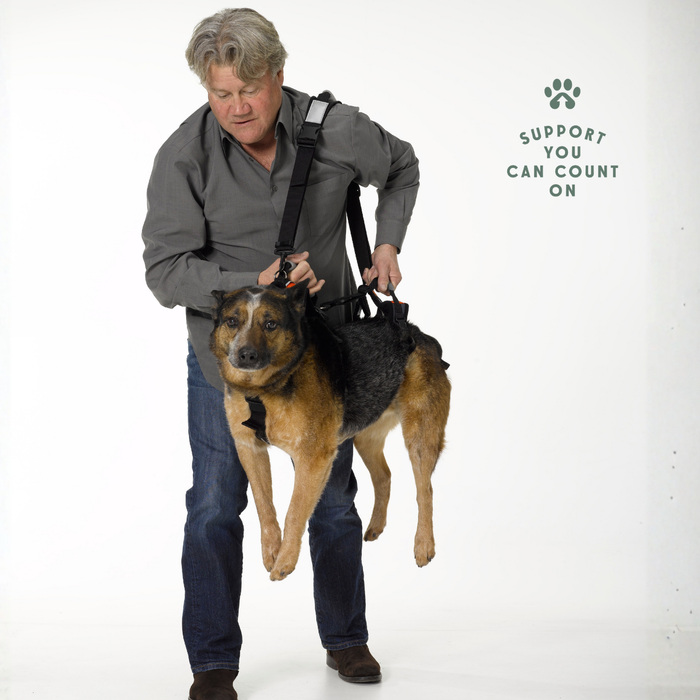 HEU - Walking Leash/Shoulder Strap