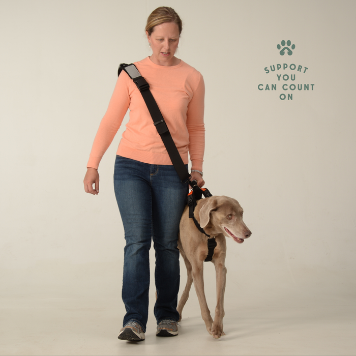 HEU - Walking Leash/Shoulder Strap