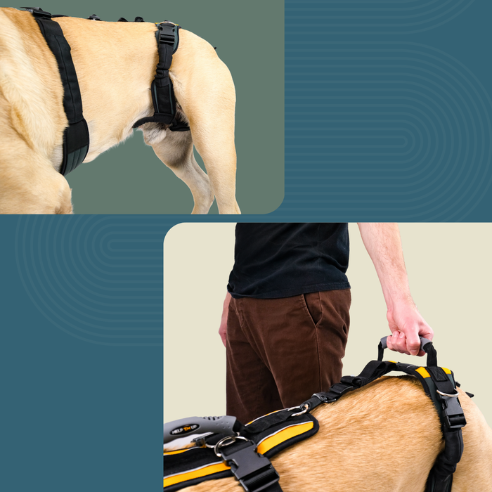 Help 'Em Up - Full Harness