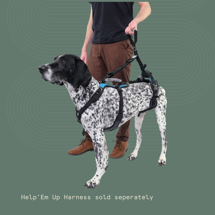 HEU - Walking Handle