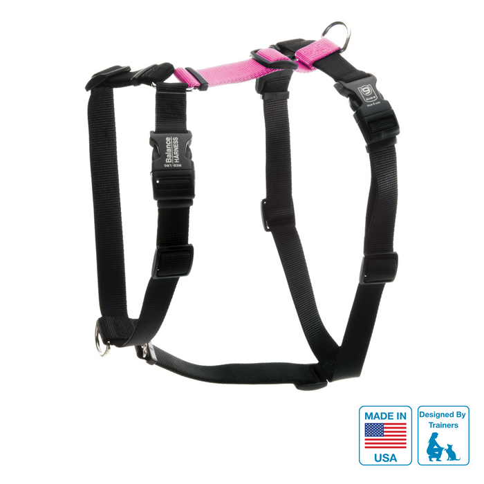 Balance Harness