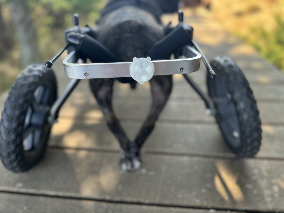 LED Light