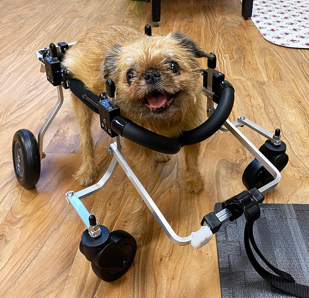 Full Support Dog Wheelchair - XX-Large