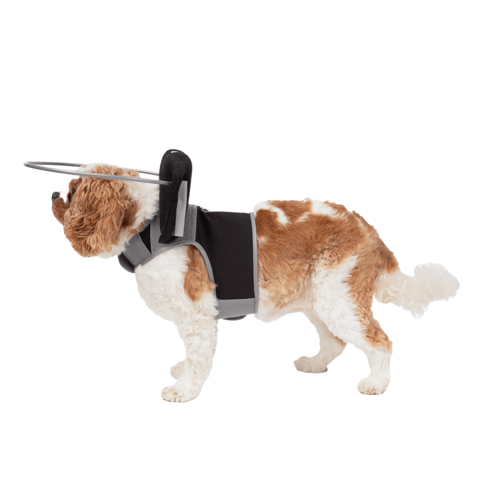 Muffin's Halo - Wing + Harness Only