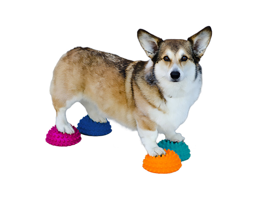 FitPAWS® Paw Pods, Anti-Skid Bottom (set of 4, net bag)
