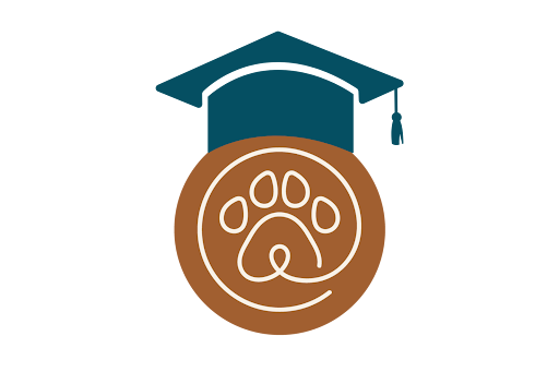 Paw Prosper Student of Veterinary Medicine Scholarship Requirements