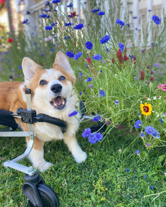 Wheelchair Front Support Kit