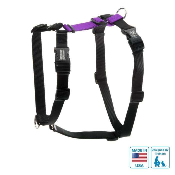 Balance Harness