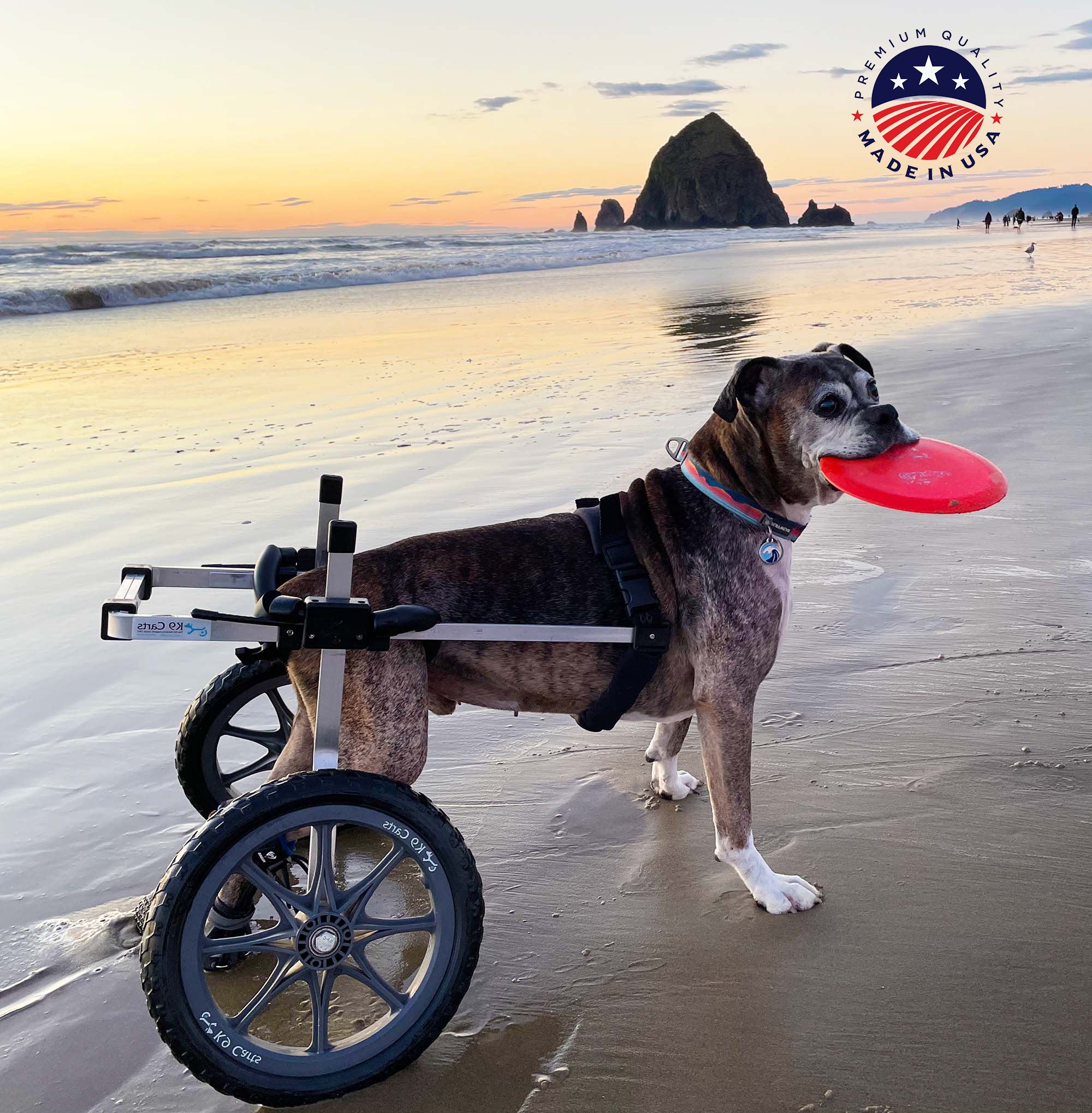 Dog Wheelchair for Back Legs - Rear Support - Med-Large