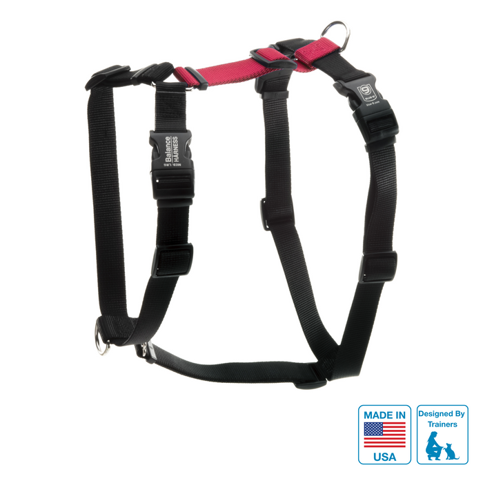 Balance Harness