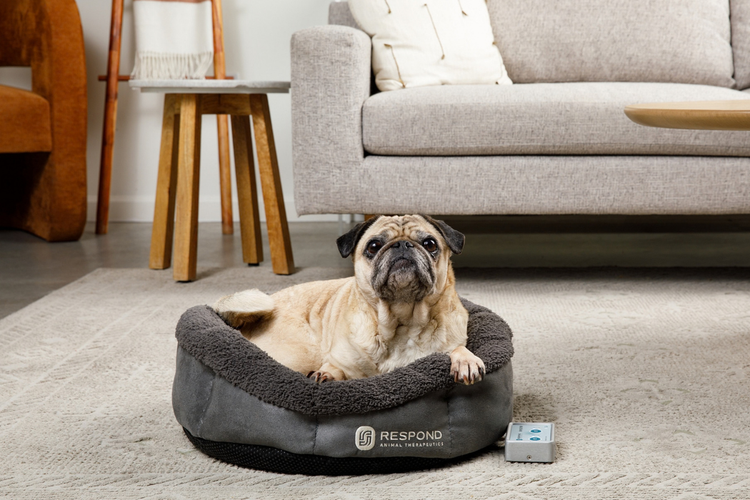 Bio-Pulse PEMF Bed Mini