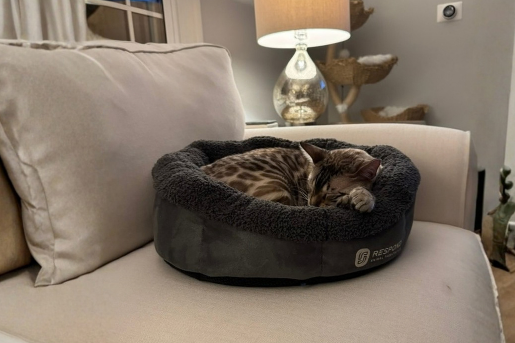 Bio-Pulse PEMF Bed Mini