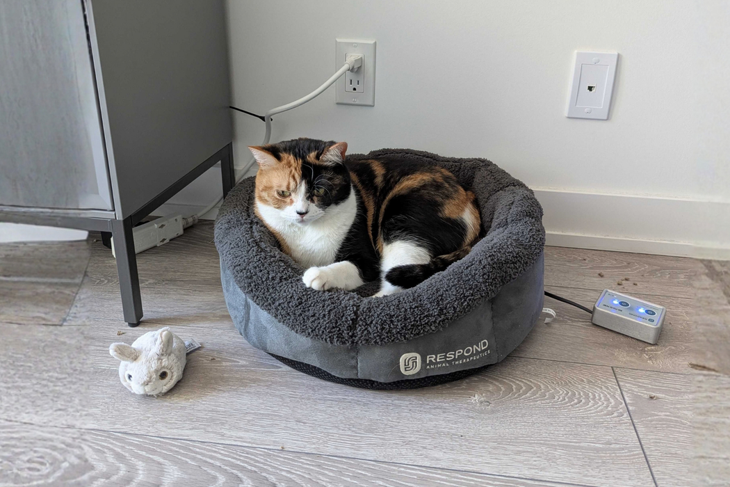 Bio-Pulse PEMF Bed Mini