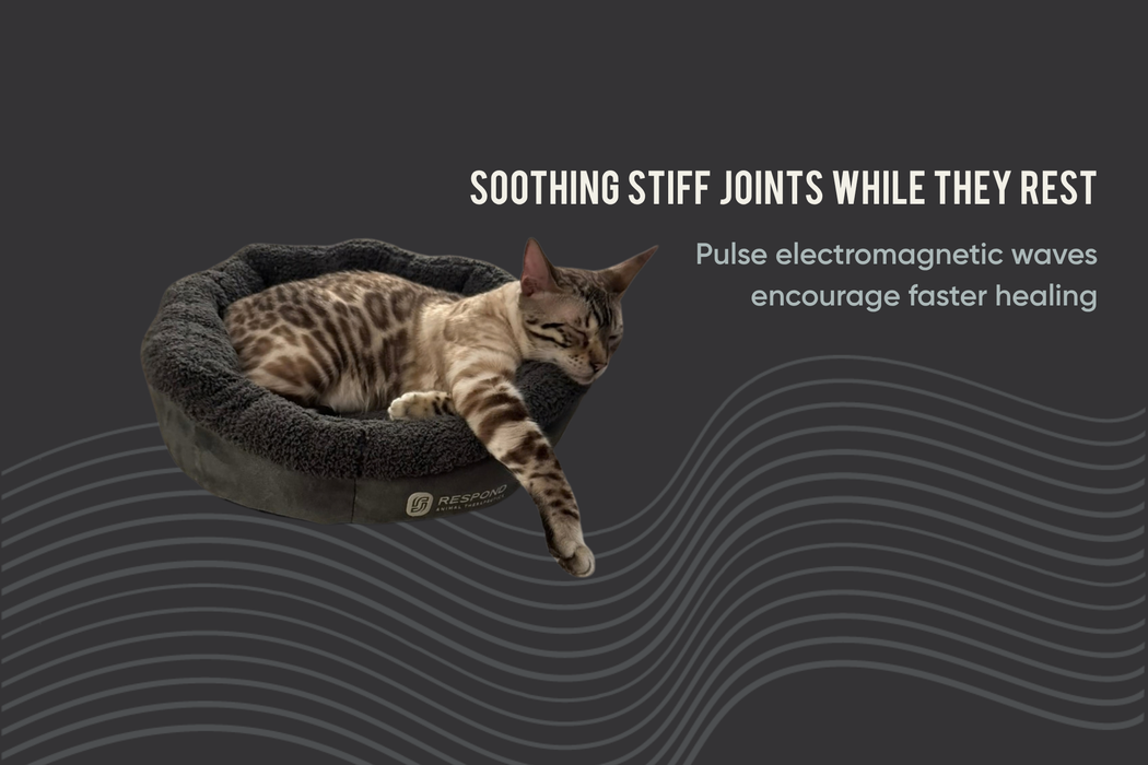 Bio-Pulse PEMF Bed Mini