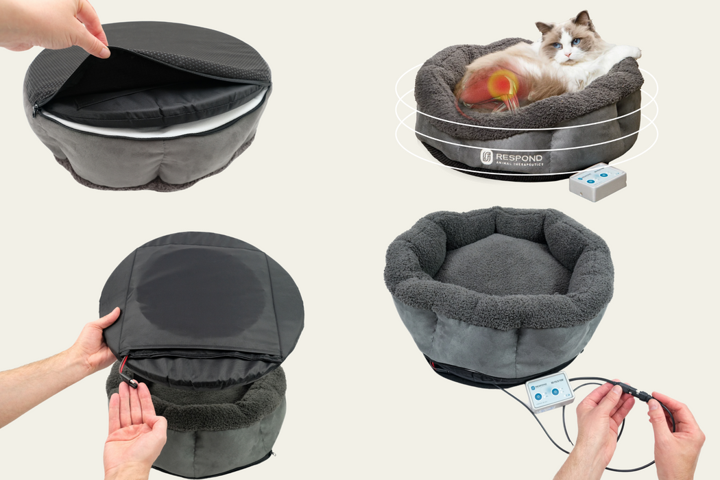 Bio-Pulse PEMF Bed Mini