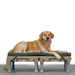 Golden retriever looking at the camera with an open mouth smile lying down on two tan KLIMB dog training platforms connected with a grey restore double dog bed on a white background.
