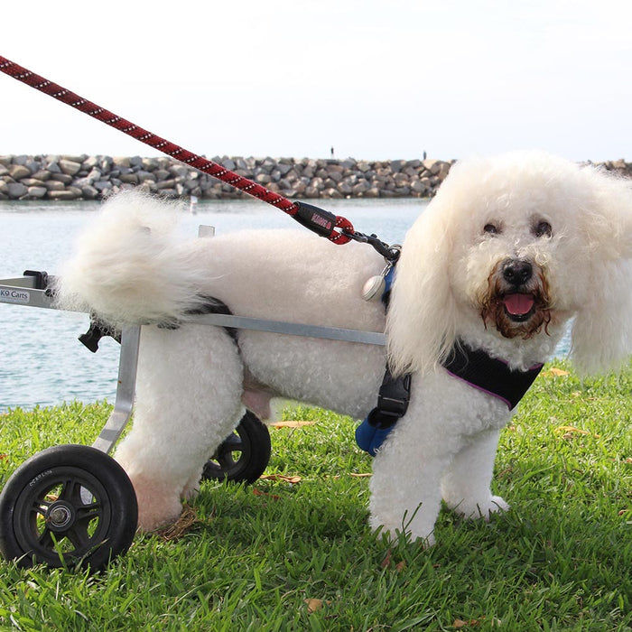 Dog Wheelchair for Back Legs – Rear Support