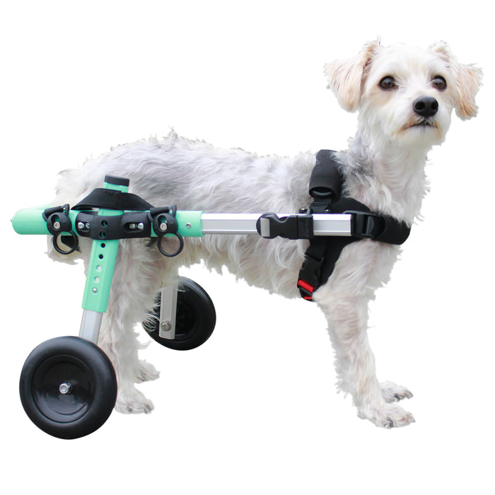 Walkin' Wheels SMALL Dog Wheelchair