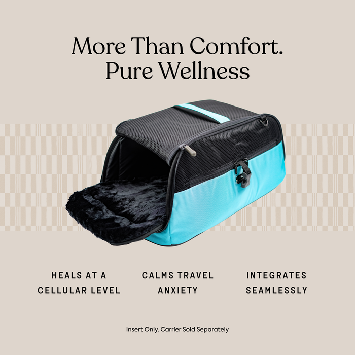 Sleepypod Air PEMF Therapy Insert