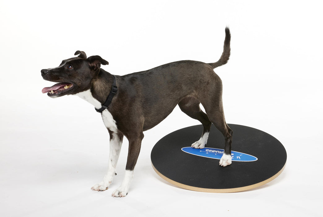 FitPaws Wobble Board, Dog Balance Training Platform (multiple sizes)