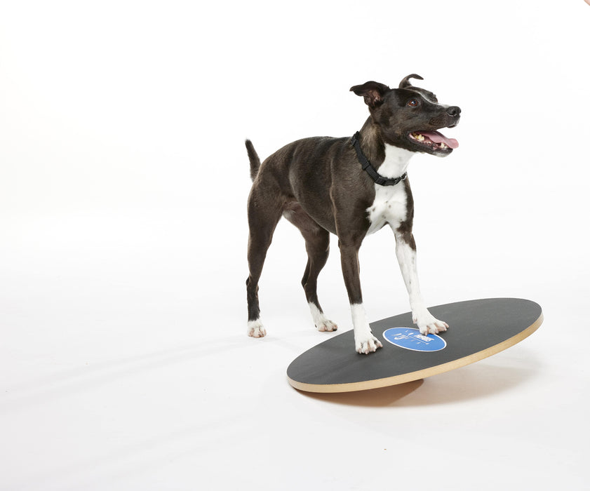 FitPaws Wobble Board, Dog Balance Training Platform (multiple sizes)