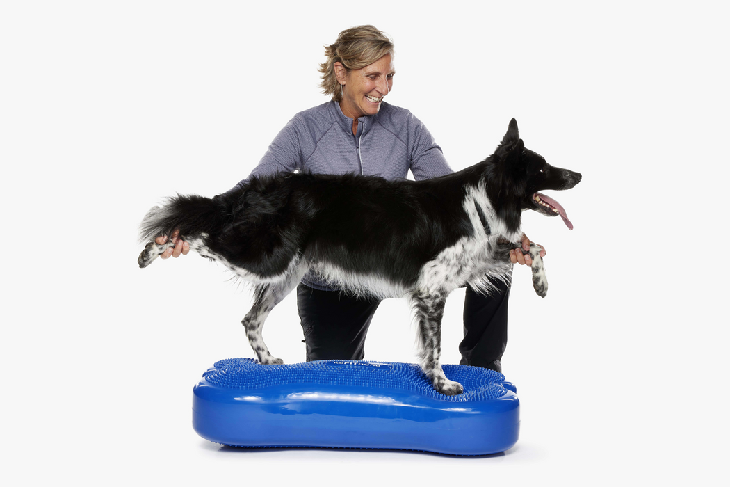 Giant K9FITbone Dog Balance Training Platform