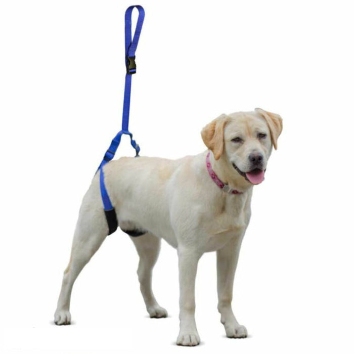 Walkin’ Up-n-Go Leash
