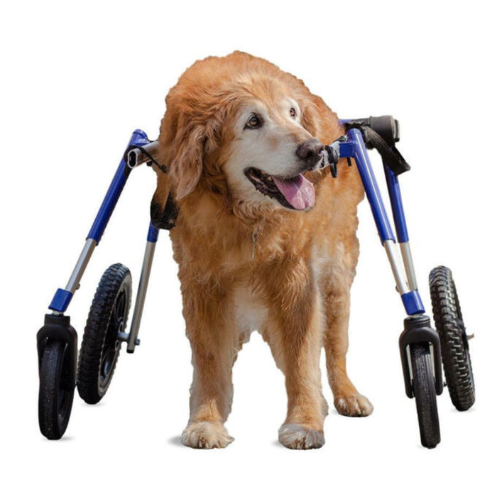 Walkin' Wheels LARGE Front Wheel Attachment