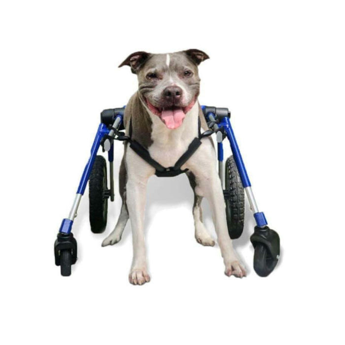 Walkin' Wheels MEDIUM Front Wheel Attachment