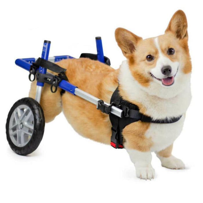 Walkin' Wheels CORGI Dog Wheelchair