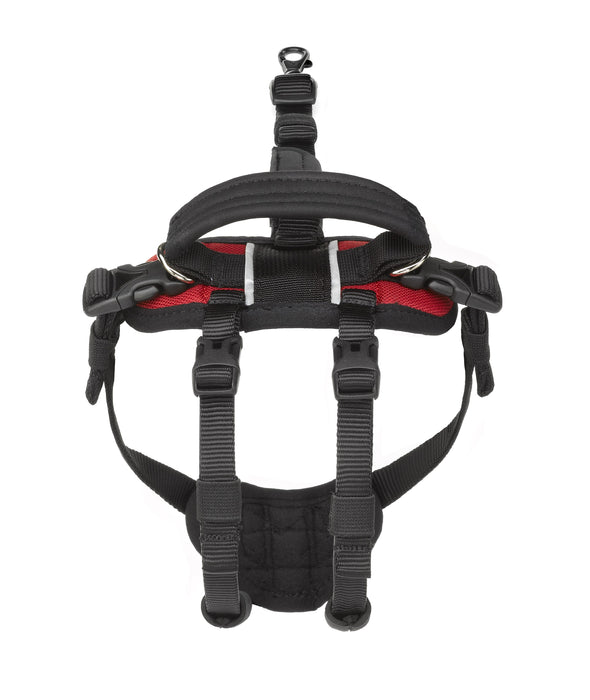 Help 'Em Up - Hip Lift Harness