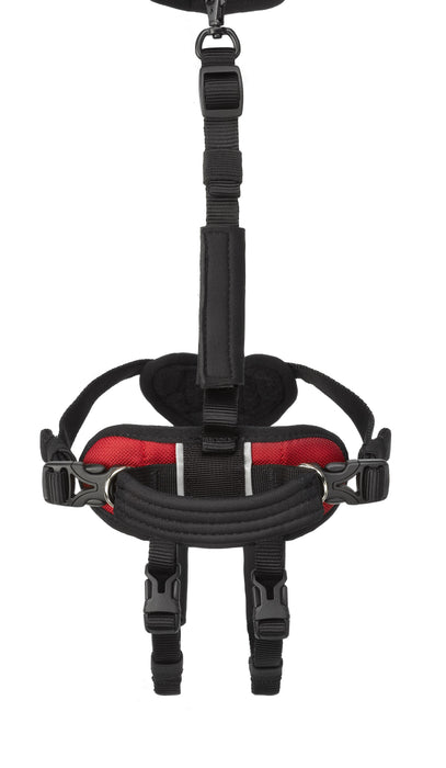 Help 'Em Up - Hip Lift Harness