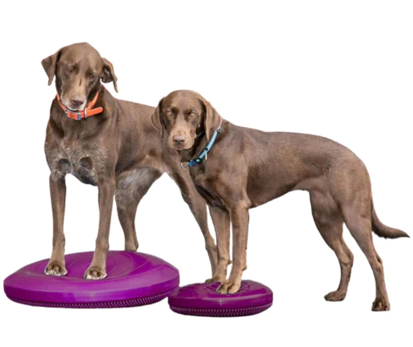 FitPaws Balance Disc