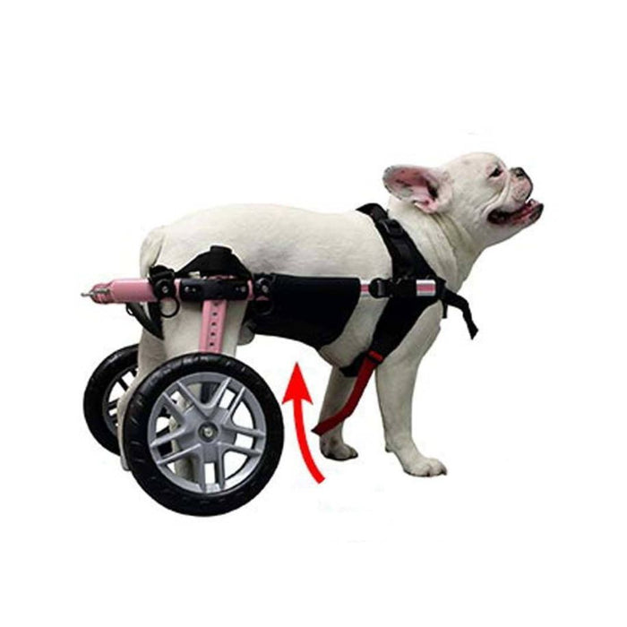 Walkin' Belly Support