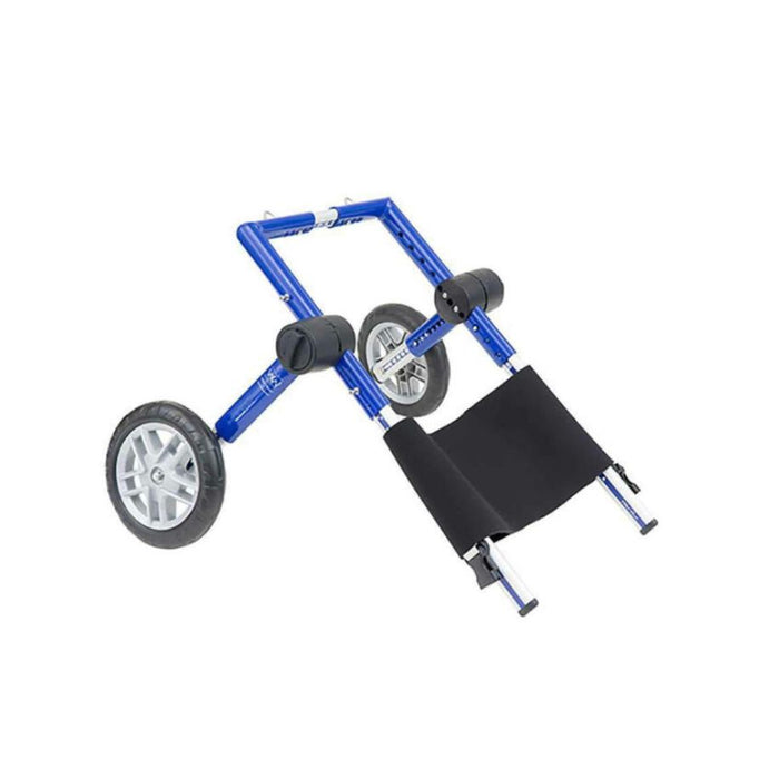 Walkin' Belly Support