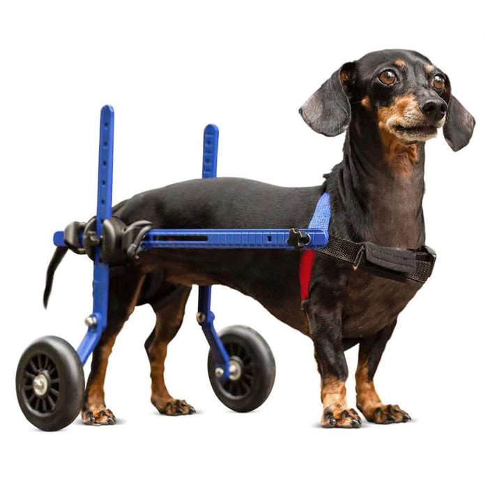 Walkin' Wheels DACHSHUND Wheelchair