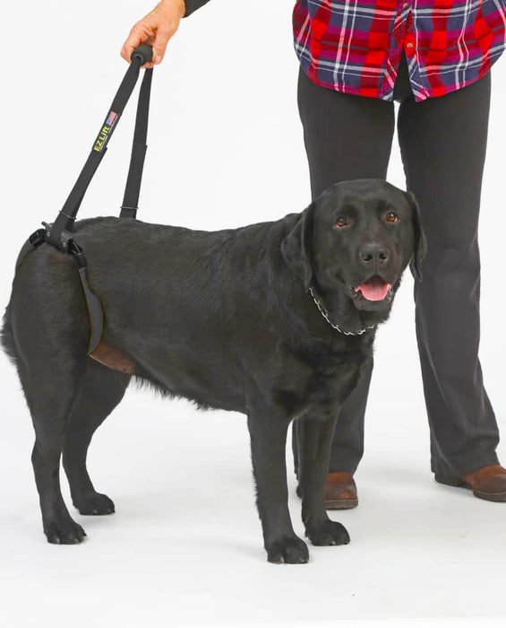 Dog Lift Harness – EZ Lift