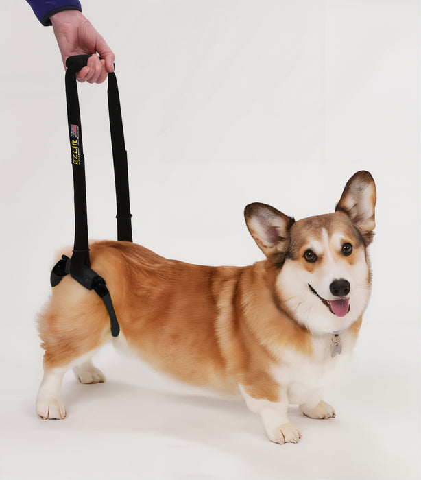 Dog Lift Harness – EZ Lift