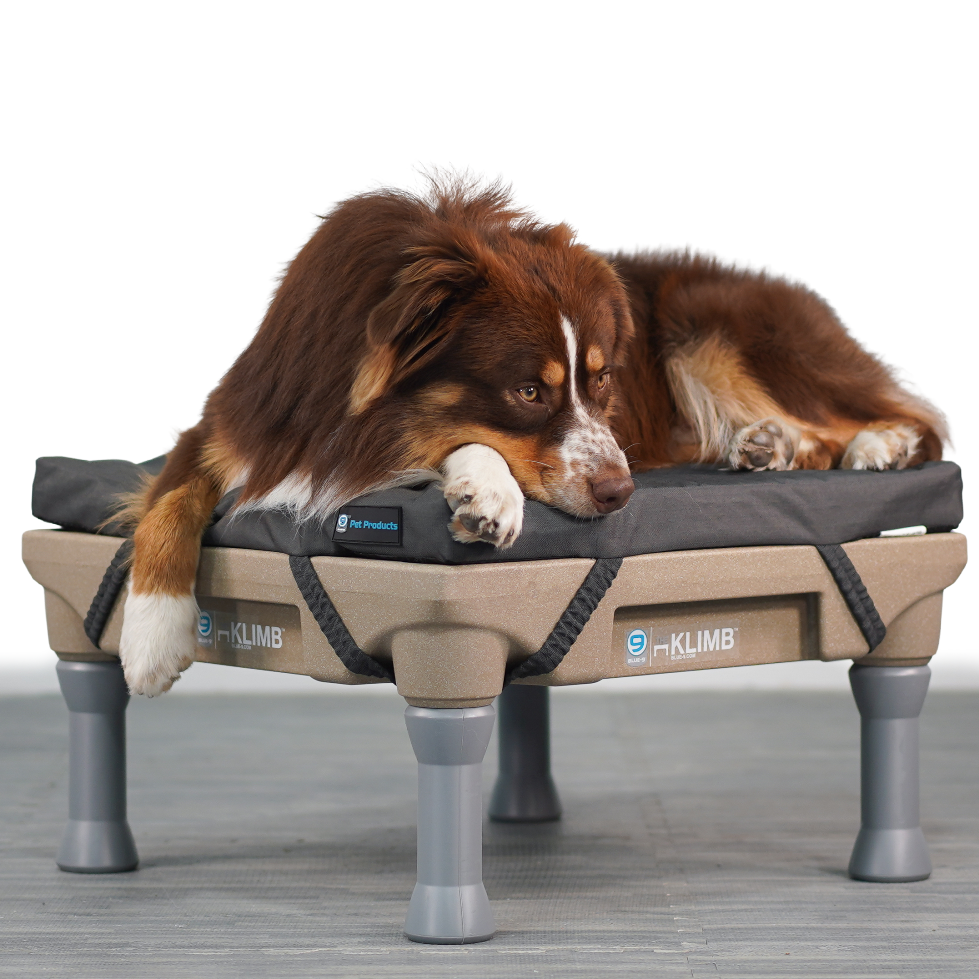 A dog lying comfortably on a gray Restore Dog Bed on a tan KLIMB Platform