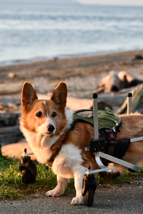 Wheelchair Front Support Kit