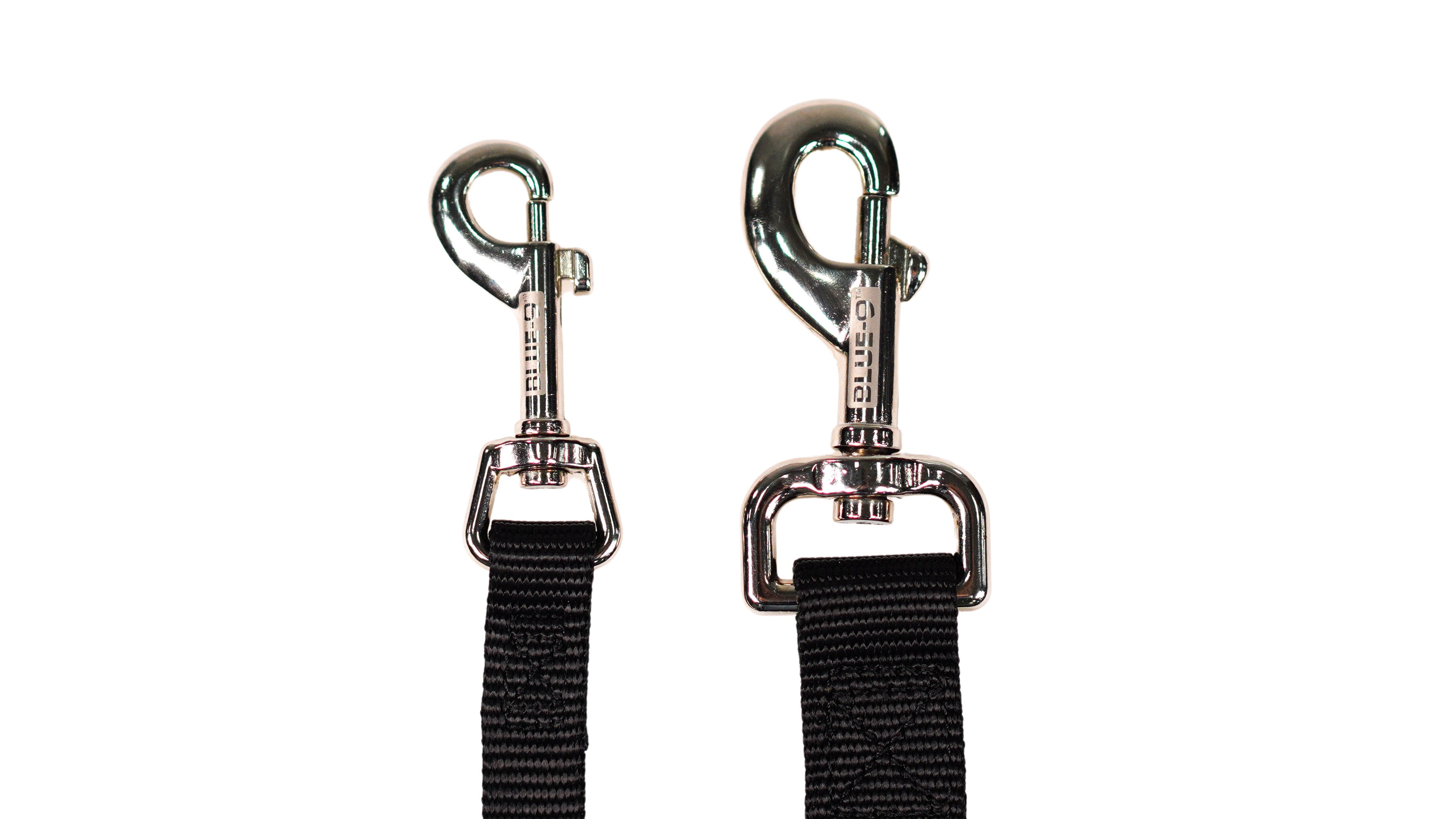 LEAD 4ft Leash