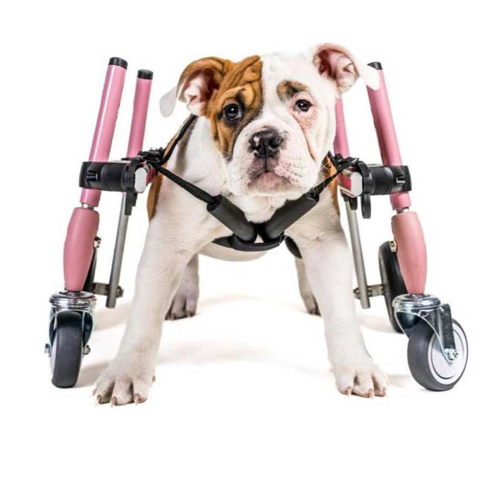 Walkin' Wheels SMALL Front Wheel Attachment