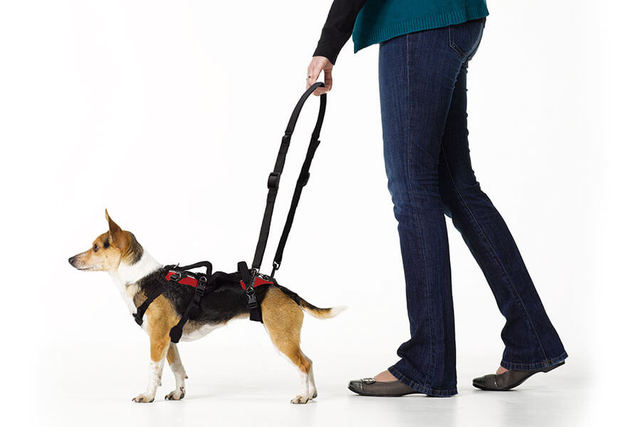 HEU - Walking Loop Handles