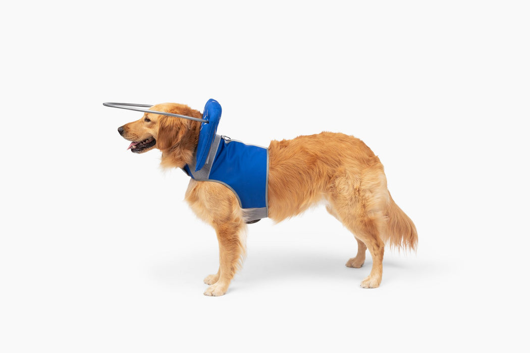 Muffin's Halo Blind Dog Guide - Blue - Size 1
