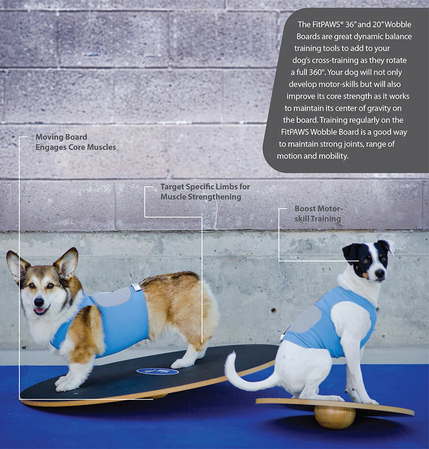 FitPaws Wobble Board, Dog Balance Training Platform (multiple sizes ...