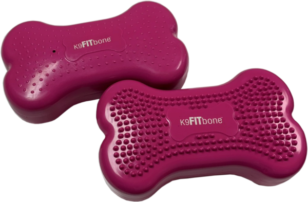 K9FITbone™ MINI Razzleberry, Set of 2