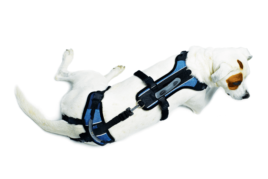 HEU - Large U-Band Harness